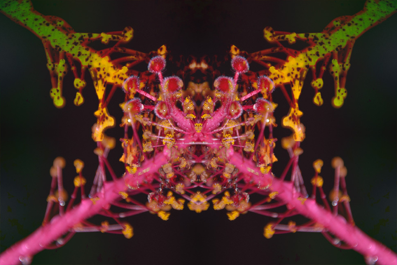Illustration for article titled 10 Vivid Rorschach Tests, Made By Camera